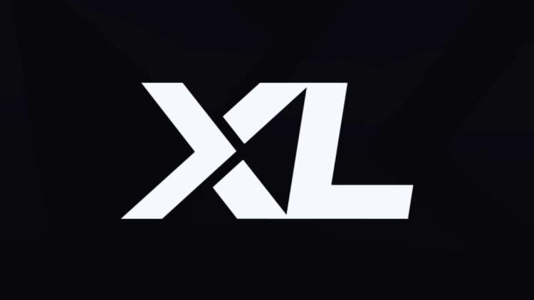 Excel Esports a l'intention de supprimer ozzy et elllement