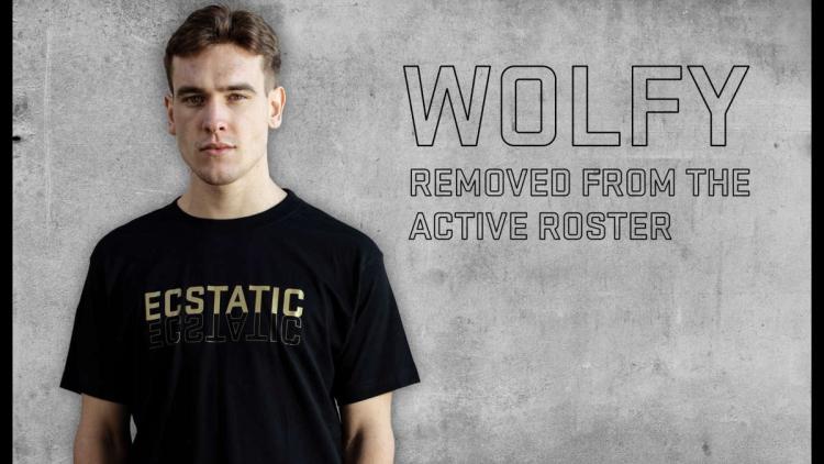 WolfY parts ECSTATIC