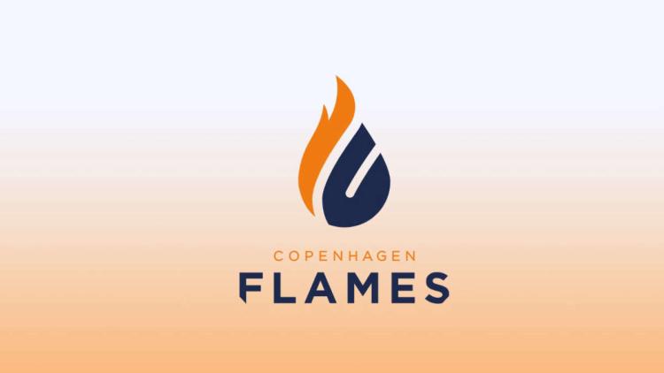 Rumeur : birdfromsky pourrait être le nouveau capitaine Copenhagen Flames