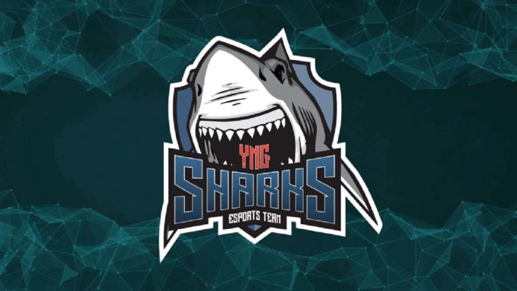 Rumeurs : rdnzao deviendra un nouveau joueur Sharks Esports