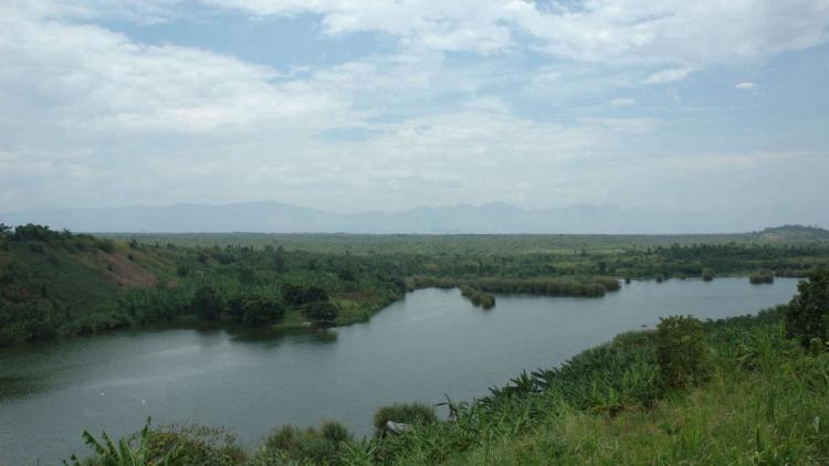 Le parc national du Congo lutte contre la pénurie d'argent grâce à l'exploitation minière BTC