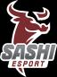 Sashi Academy