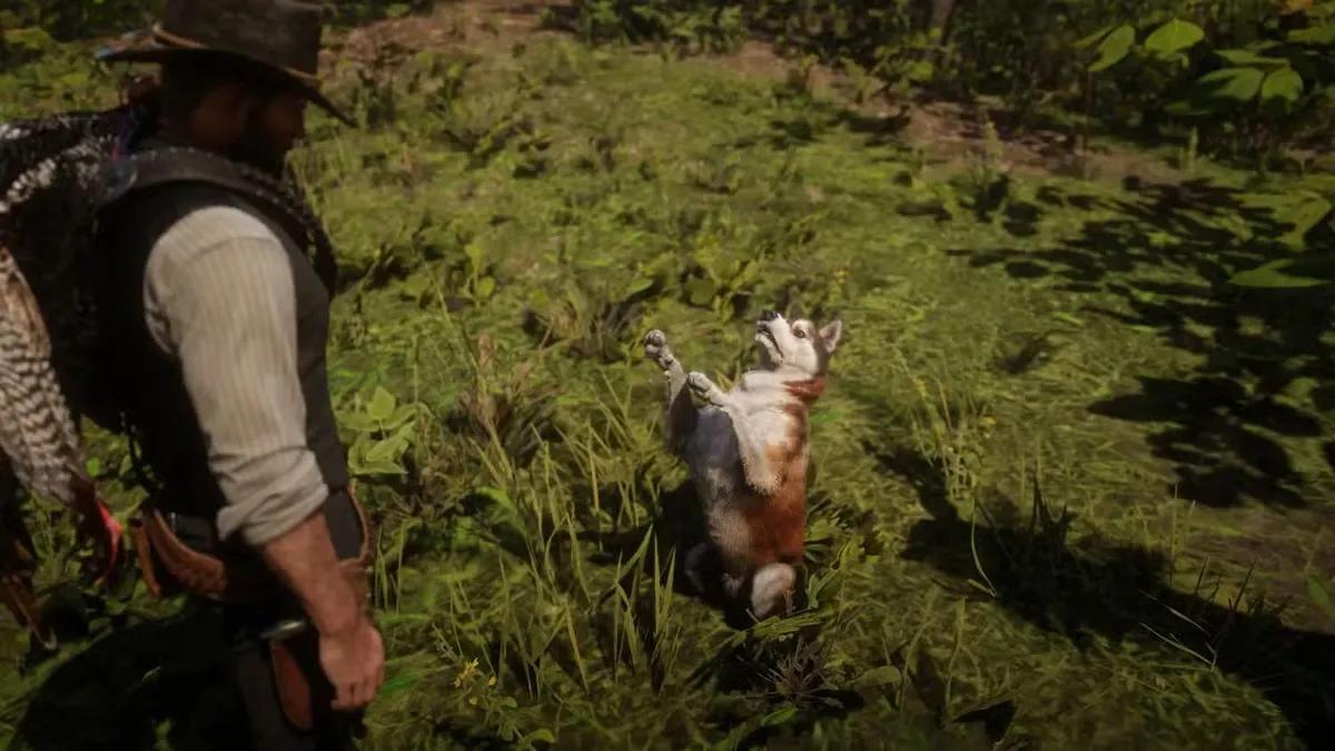 Hidden Detail in Red Dead Redemption 2: Rare Dog with Heterochromia Discovered After Years!