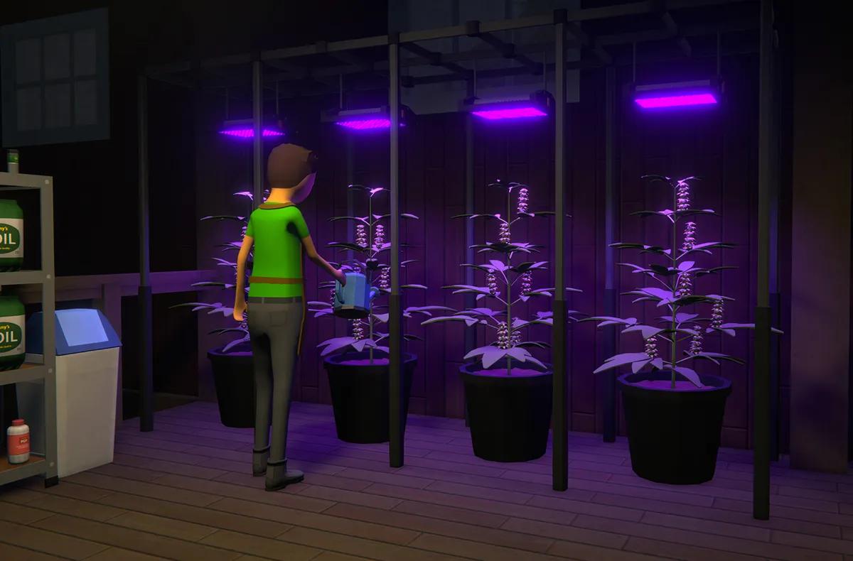 Les craintes liées à la vapeur ont poussé le créateur de Schedule 1 à envisager une reconversion complète vers l'agriculture.