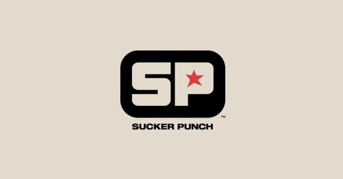 Brian Fleming quitte Sucker Punch Productions après 28 ans.