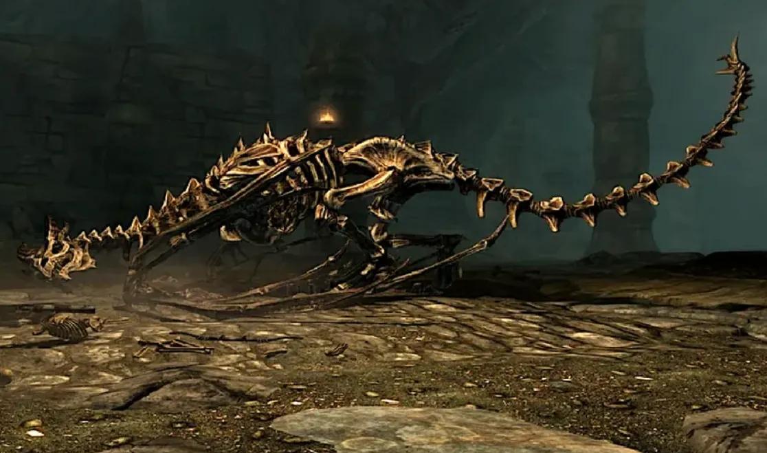 Des fans retrouvent l'image d'un dragon de Skyrim dans un épisode de Dr.