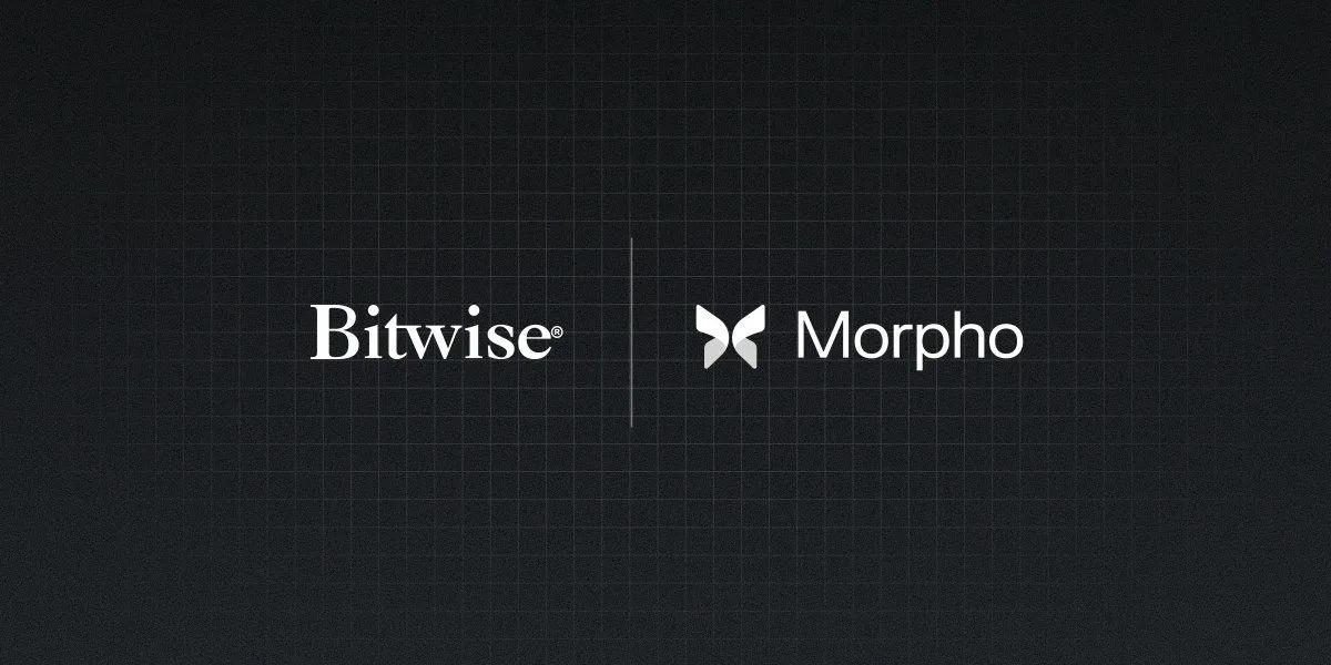Bitwise lance un coffre-fort en chaîne en partenariat avec Morpho