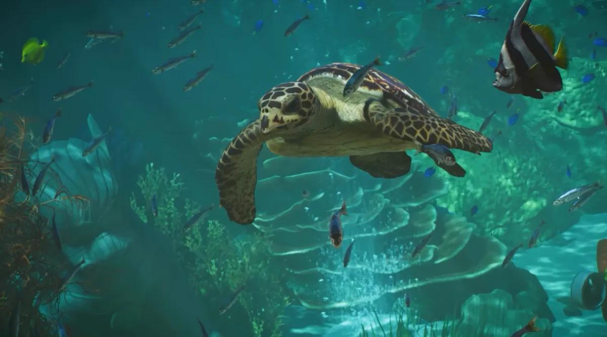 Frontier construit un jeu sur la planète sans zoos ni montagnes russes