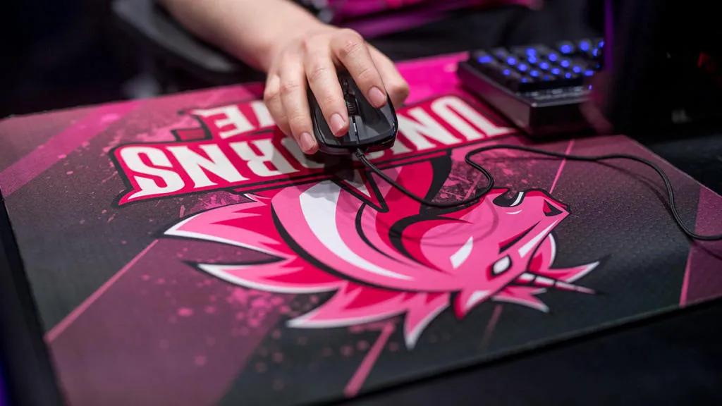 Unicorns of Love a ouvert une subdivision pour VALORANT