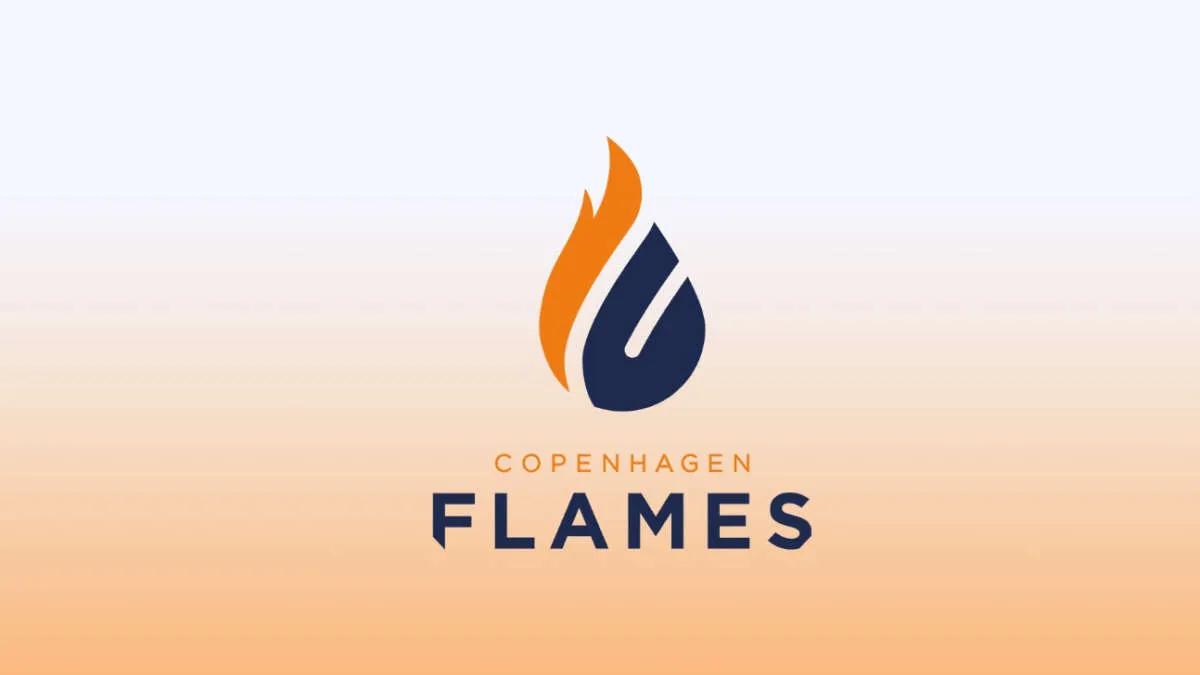 Rumeur : birdfromsky pourrait être le nouveau capitaine Copenhagen Flames