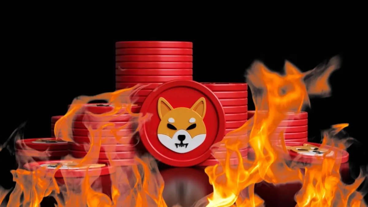Plus de 48 000 000  Shiba Inu ont été brûlés au cours des dernières 24 heures