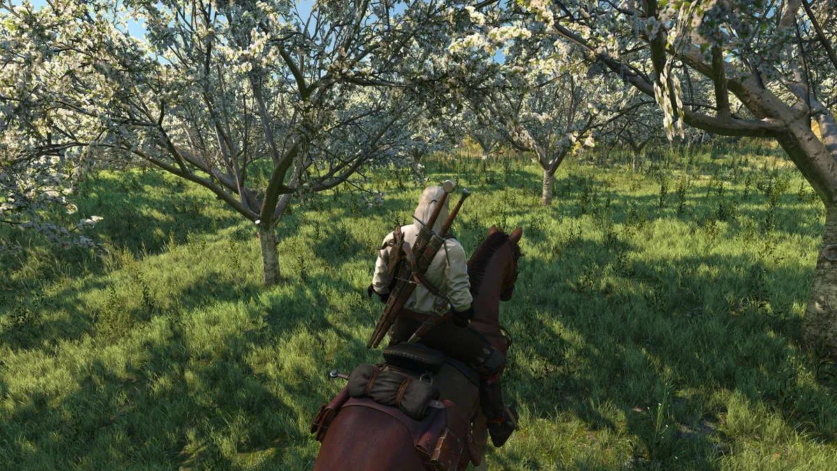 The Witcher 3 Patch 4.04: Enhanced Grass, Bug Fixes, and Nintendo Switch Features