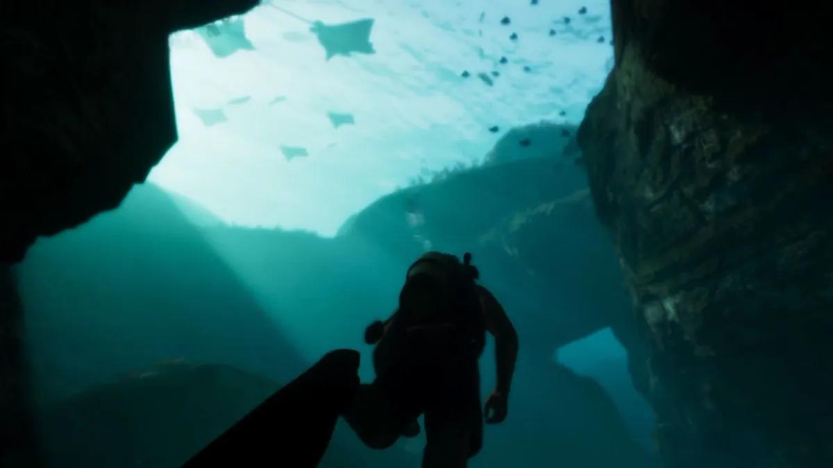 Dans GTA 6, il pourrait y avoir sa propre version du Miami Seaquarium