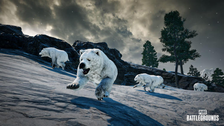 Les ours polaires, un nouveau réticule et un équilibrage des armes mis à jour sont le journal des modifications du patch PUBG 22.1. Photo 1