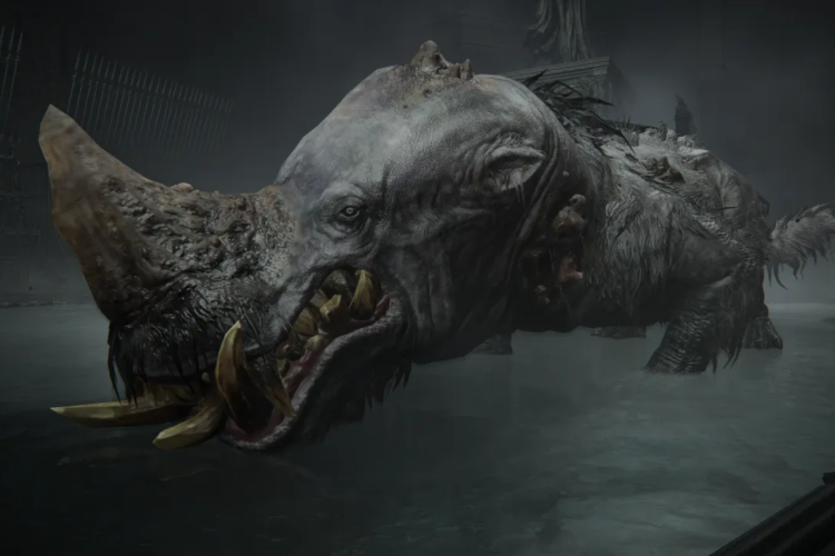 L'hippopotame doré détruit les courses dans Elden Ring : Nightreign 1