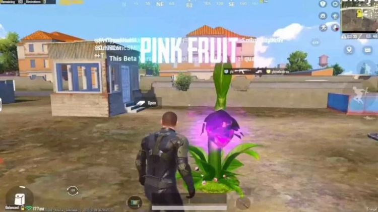 PUBG Mobile 4.2 Beta Update Introduces a Nature-Themed Battleground 2